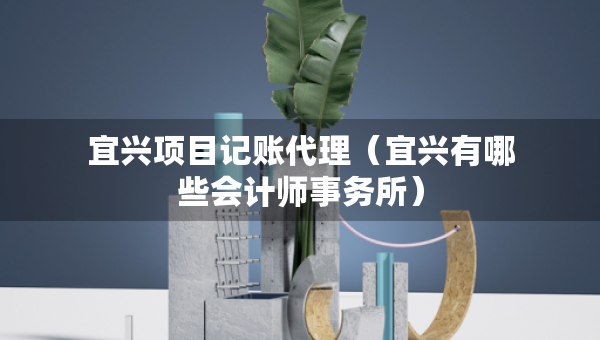 宜興項目記賬代理（宜興有哪些會計師事務(wù)所）
