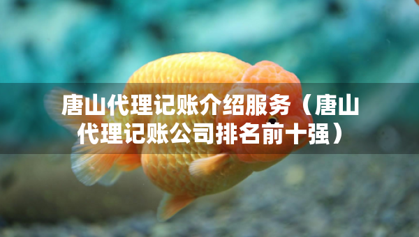 唐山代理記賬介紹服務(wù)（唐山代理記賬公司排名前十強）