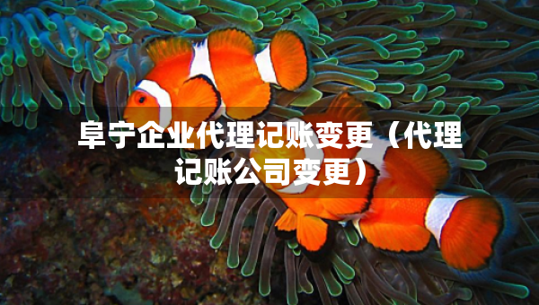 阜寧企業(yè)代理記賬變更（代理記賬公司變更）