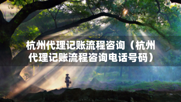 杭州代理記賬流程咨詢(xún)（杭州代理記賬流程咨詢(xún)電話(huà)號(hào)碼）