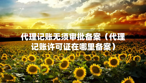 代理記賬無須審批備案（代理記賬許可證在哪里備案）