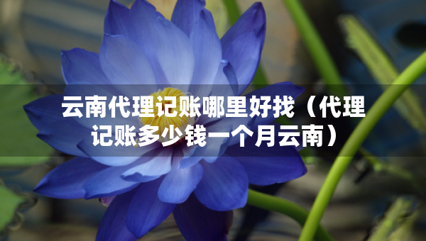 云南代理記賬哪里好找（代理記賬多少錢一個月云南）