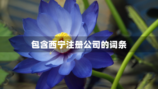 包含西寧注冊公司的詞條
