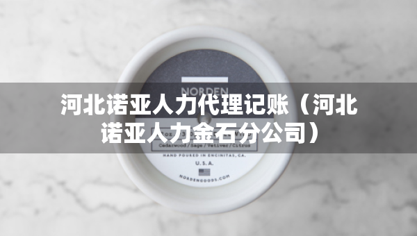河北諾亞人力代理記賬（河北諾亞人力金石分公司）