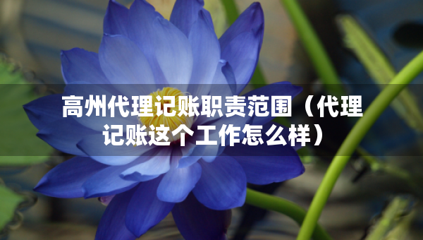 高州代理記賬職責(zé)范圍（代理記賬這個(gè)工作怎么樣）