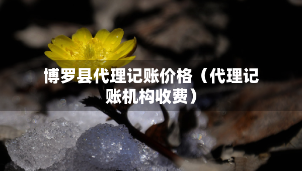 博羅縣代理記賬價格（代理記賬機(jī)構(gòu)收費(fèi)）