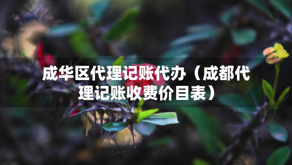 成華區(qū)代理記賬代辦（成都代理記賬收費(fèi)價(jià)目表）