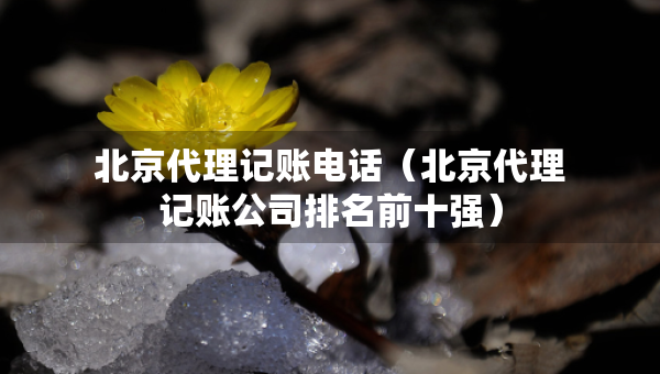 北京代理記賬電話（北京代理記賬公司排名前十強）