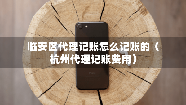 臨安區(qū)代理記賬怎么記賬的（杭州代理記賬費(fèi)用）