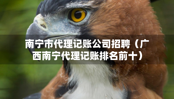 南寧市代理記賬公司招聘（廣西南寧代理記賬排名前十）