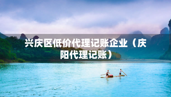 興慶區(qū)低價代理記賬企業(yè)（慶陽代理記賬）