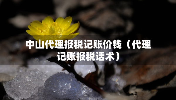 中山代理報稅記賬價錢（代理記賬報稅話術）