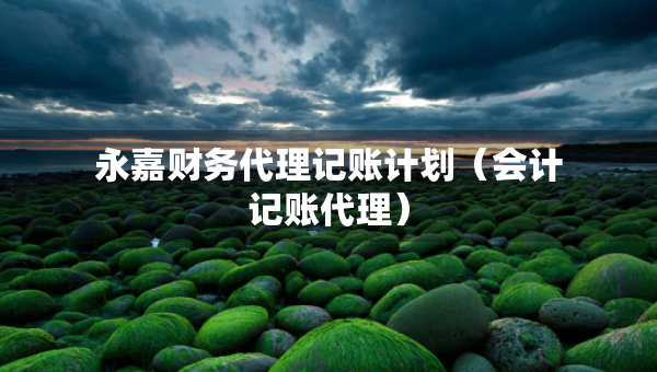 永嘉財(cái)務(wù)代理記賬計(jì)劃（會(huì)計(jì)記賬代理）