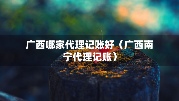 廣西哪家代理記賬好（廣西南寧代理記賬）