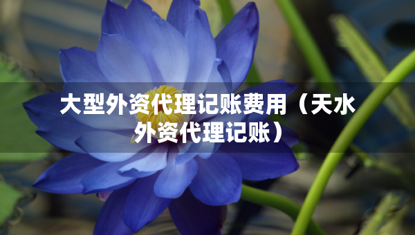 大型外資代理記賬費(fèi)用（天水外資代理記賬）