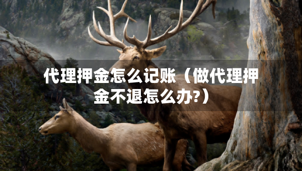 代理押金怎么記賬（做代理押金不退怎么辦?）
