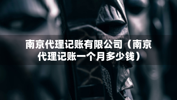 南京代理記賬有限公司（南京代理記賬一個月多少錢）