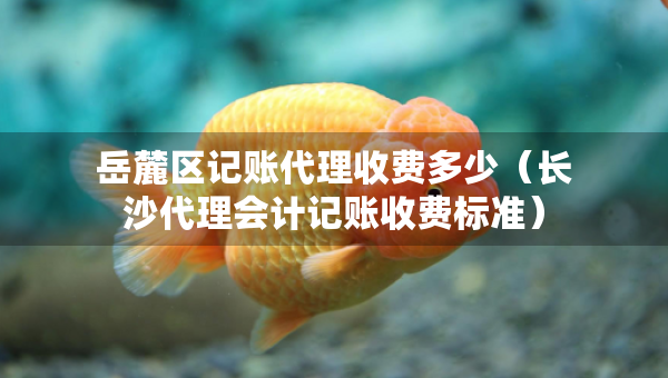 岳麓區(qū)記賬代理收費(fèi)多少（長(zhǎng)沙代理會(huì)計(jì)記賬收費(fèi)標(biāo)準(zhǔn)）