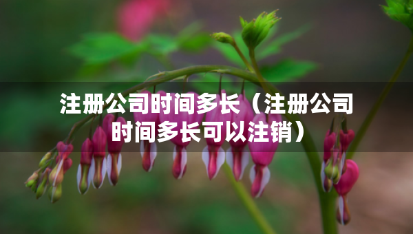 注冊公司時間多長（注冊公司時間多長可以注銷）