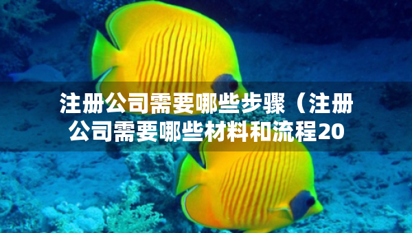 注冊公司需要哪些步驟（注冊公司需要哪些材料和流程2021）