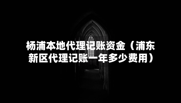 楊浦本地代理記賬資金（浦東新區(qū)代理記賬一年多少費用）