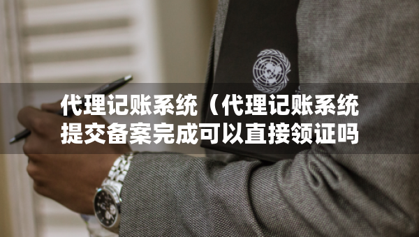 代理記賬系統(tǒng)（代理記賬系統(tǒng)提交備案完成可以直接領(lǐng)證嗎）