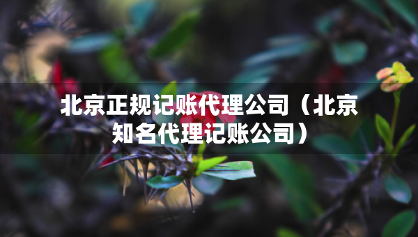 北京正規(guī)記賬代理公司（北京知名代理記賬公司）
