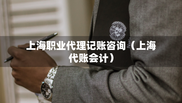 上海職業(yè)代理記賬咨詢（上海代賬會(huì)計(jì)）