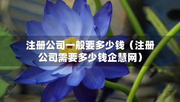 注冊(cè)公司一般要多少錢（注冊(cè)公司需要多少錢企慧網(wǎng)）