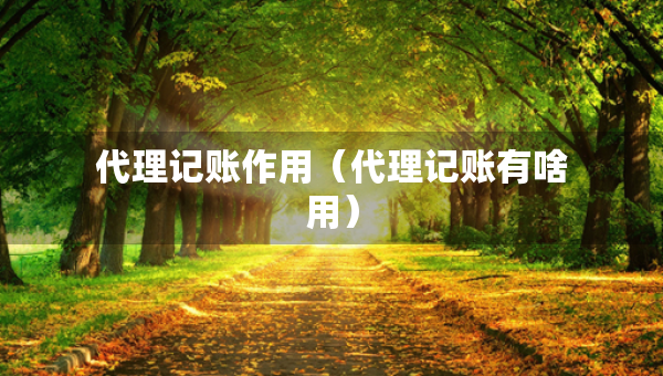 代理記賬作用（代理記賬有啥用）