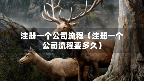 注冊(cè)一個(gè)公司流程（注冊(cè)一個(gè)公司流程要多久）