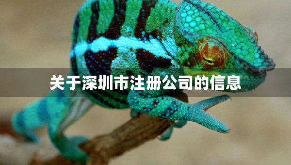 關(guān)于深圳市注冊公司的信息