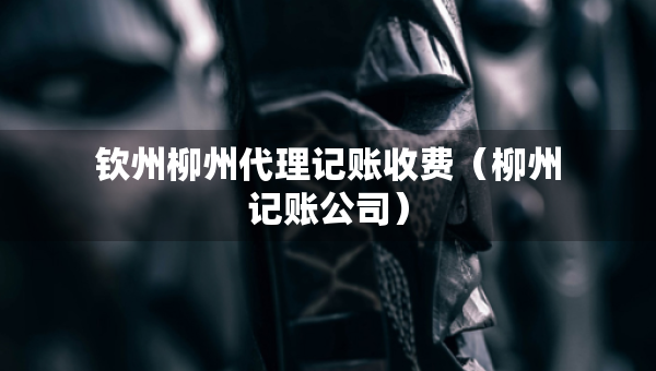 欽州柳州代理記賬收費（柳州記賬公司）