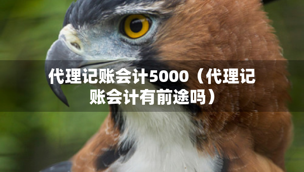 代理記賬會計5000（代理記賬會計有前途嗎）