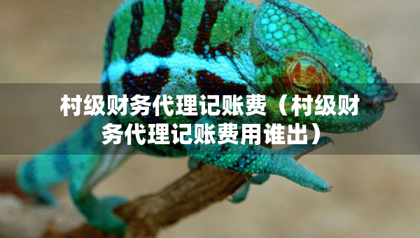 村級財務(wù)代理記賬費（村級財務(wù)代理記賬費用誰出）