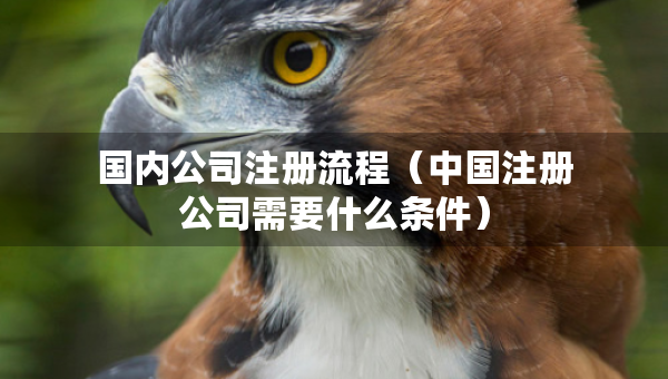 國內(nèi)公司注冊流程（中國注冊公司需要什么條件）