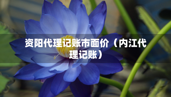 資陽代理記賬市面價(jià)（內(nèi)江代理記賬）