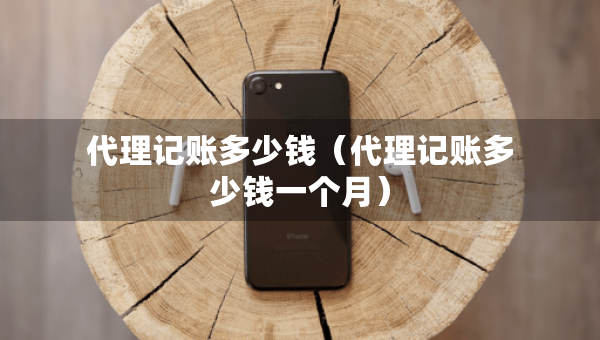 代理記賬多少錢（代理記賬多少錢一個(gè)月）
