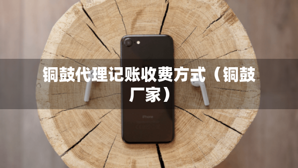 銅鼓代理記賬收費(fèi)方式（銅鼓廠家）