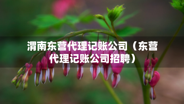 渭南東營(yíng)代理記賬公司（東營(yíng)代理記賬公司招聘）