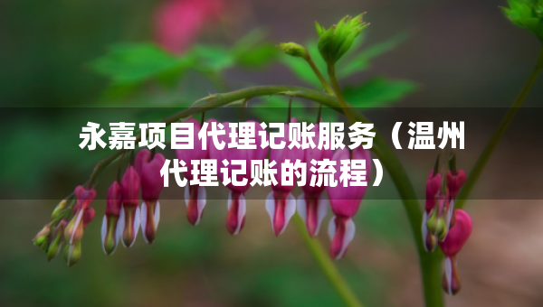 永嘉項(xiàng)目代理記賬服務(wù)（溫州代理記賬的流程）
