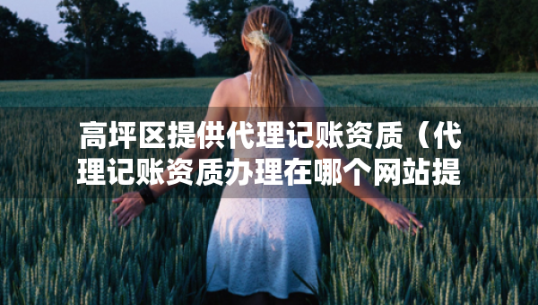 高坪區(qū)提供代理記賬資質(zhì)（代理記賬資質(zhì)辦理在哪個網(wǎng)站提交申請）
