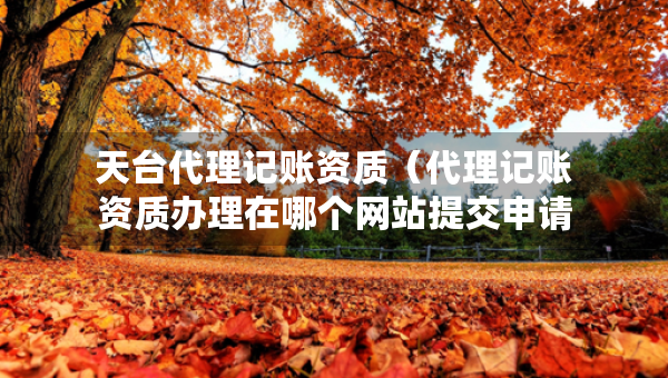 天臺(tái)代理記賬資質(zhì)（代理記賬資質(zhì)辦理在哪個(gè)網(wǎng)站提交申請(qǐng)）