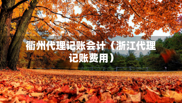 衢州代理記賬會計（浙江代理記賬費用）