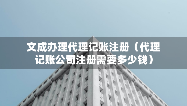 文成辦理代理記賬注冊(cè)（代理記賬公司注冊(cè)需要多少錢）