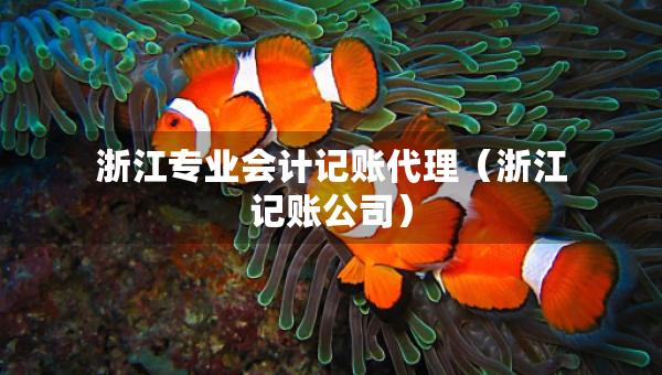 浙江專業(yè)會(huì)計(jì)記賬代理（浙江記賬公司）