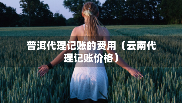 普洱代理記賬的費(fèi)用（云南代理記賬價(jià)格）