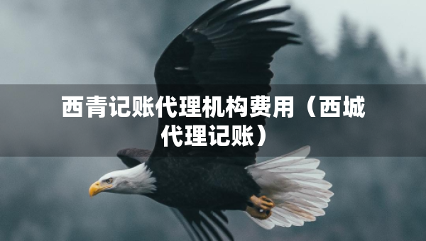 西青記賬代理機(jī)構(gòu)費(fèi)用（西城代理記賬）