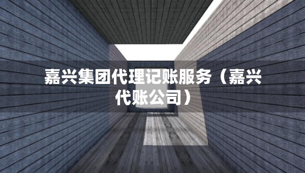 嘉興集團(tuán)代理記賬服務(wù)（嘉興代賬公司）