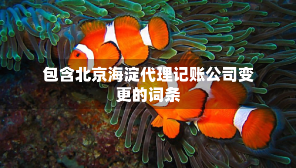 包含北京海淀代理記賬公司變更的詞條